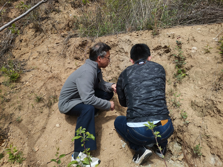 兴发娱乐·xf187(中国集团)官方网站