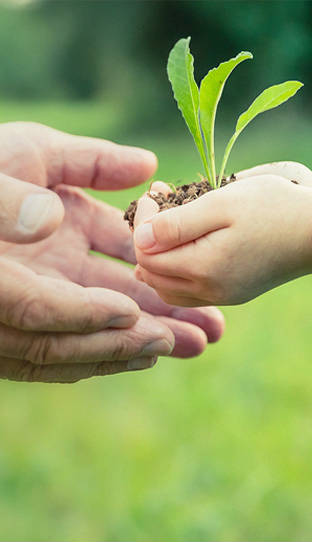 bede6f33-20a1-42dc-94e5-3f86824a8b37