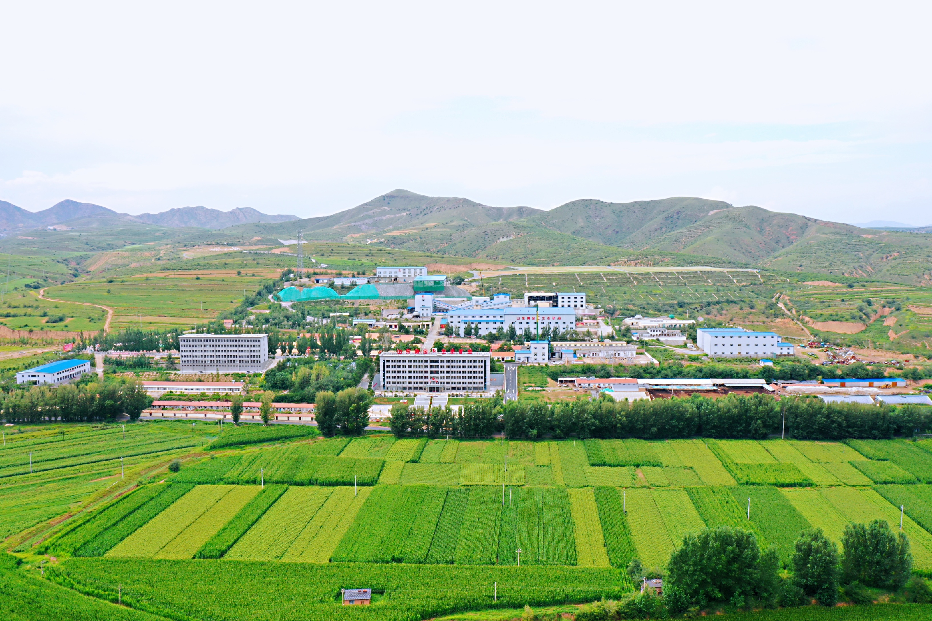 兴发娱乐·xf187(中国集团)官方网站